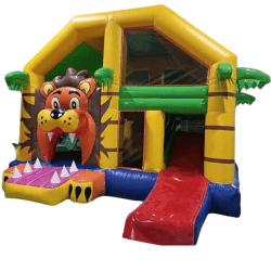 Lion Combo