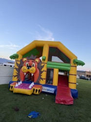 Lion Combo IMG 3908 1760062012 Lion Combo