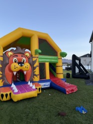 Lion Combo IMG 3909 1760062013 Lion Combo