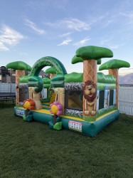 Jungle Combo IMG 3910 1760061491 Jungle Combo