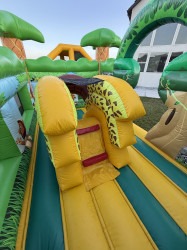 Jungle Combo IMG 3913 1760061493 Jungle Combo