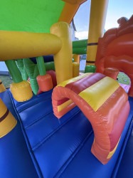 Lion Combo IMG 3916 1760062014 Lion Combo